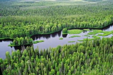 Национальный парк "Водлозерский"